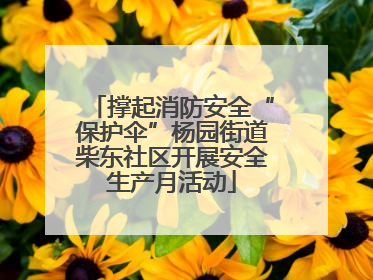 撑起消防安全“保护伞”杨园街道柴东社区开展安全生产月活动