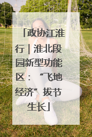 政协江淮行｜淮北段园新型功能区：“飞地经济”拔节生长