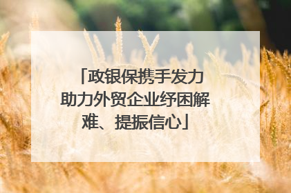政银保携手发力 助力外贸企业纾困解难、提振信心