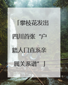 攀枝花发出四川首张“户籍人口直系亲属关系谱”
