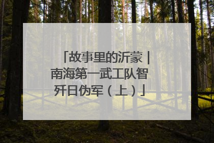 故事里的沂蒙｜南海第一武工队智歼日伪军（上）