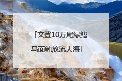 文登10万尾绿鳍马面鲀放流大海