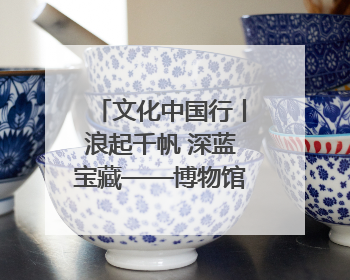 文化中国行丨浪起千帆 深蓝宝藏——博物馆里的海丝遗珍