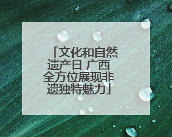 文化和自然遗产日 广西全方位展现非遗独特魅力