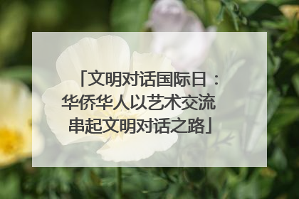 文明对话国际日：华侨华人以艺术交流串起文明对话之路