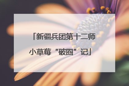 新疆兵团第十二师小草莓“破圈”记