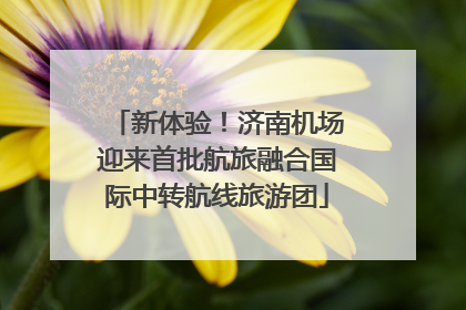 新体验！济南机场迎来首批航旅融合国际中转航线旅游团
