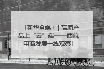 新华全媒+｜高原产品上“云”端——西藏电商发展一线观察