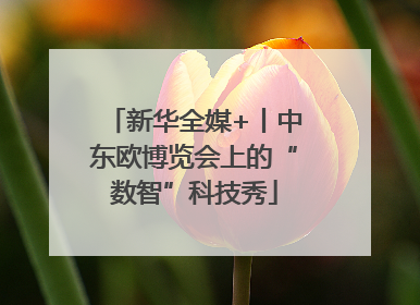 新华全媒+丨中东欧博览会上的“数智”科技秀