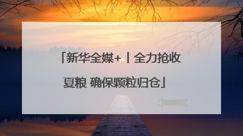 新华全媒+丨全力抢收夏粮 确保颗粒归仓