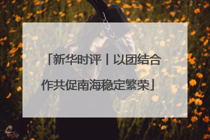 新华时评丨以团结合作共促南海稳定繁荣
