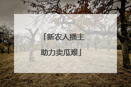 新农人播主 助力卖瓜难