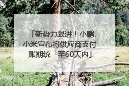 新势力跟进！小鹏、小米宣布将供应商支付账期统一至60天内