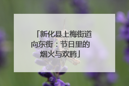 新化县上梅街道向东街：节日里的烟火与欢腾