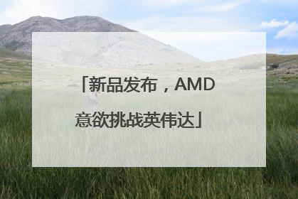 新品发布，AMD意欲挑战英伟达
