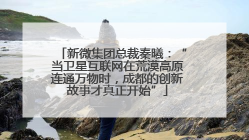 新微集团总裁秦曦：“当卫星互联网在荒漠高原连通万物时，成都的创新故事才真正开始”