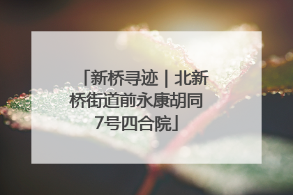 新桥寻迹｜北新桥街道前永康胡同7号四合院