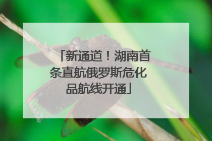 新通道！湖南首条直航俄罗斯危化品航线开通