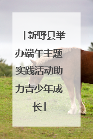 新野县举办端午主题实践活动助力青少年成长
