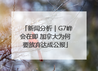新闻分析｜G7峰会在即 加拿大为何要放弃达成公报
