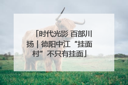 时代光影 百部川扬｜德阳中江“挂面村”不只有挂面