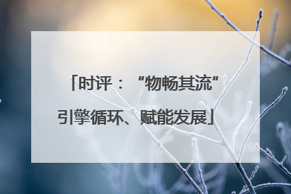 时评：“物畅其流”引擎循环、赋能发展