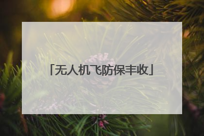 无人机飞防保丰收