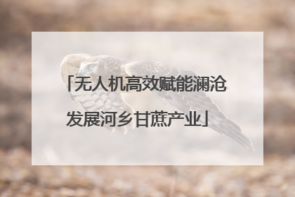 无人机高效赋能澜沧发展河乡甘蔗产业