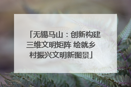 无锡马山：创新构建三维文明矩阵 绘就乡村振兴文明新图景