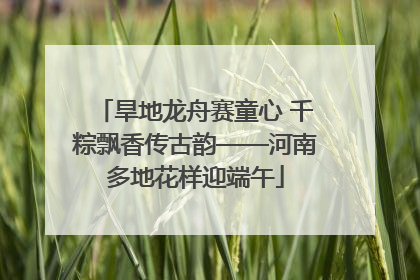旱地龙舟赛童心 千粽飘香传古韵——河南多地花样迎端午