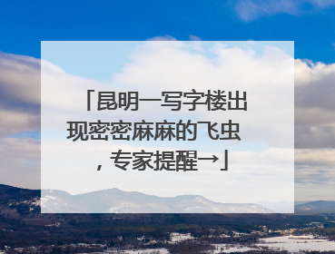 昆明一写字楼出现密密麻麻的飞虫，专家提醒→