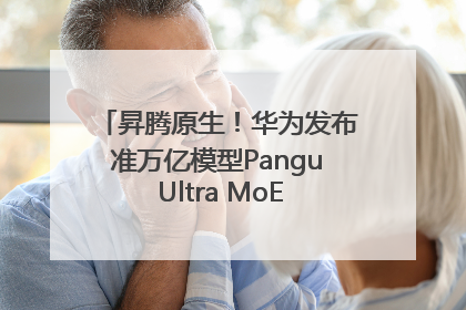 昇腾原生！华为发布准万亿模型Pangu Ultra MoE模型架构和训练细节