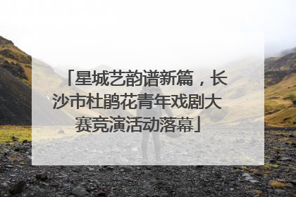 星城艺韵谱新篇，长沙市杜鹃花青年戏剧大赛竞演活动落幕