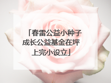 春雷公益小种子成长公益基金在坪上完小设立