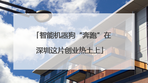 智能机器狗“奔跑”在深圳这片创业热土上