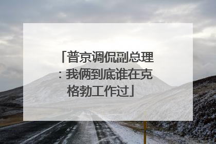 普京调侃副总理：我俩到底谁在克格勃工作过