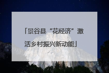 景谷县“花经济”激活乡村振兴新动能