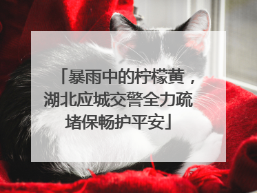 暴雨中的柠檬黄，湖北应城交警全力疏堵保畅护平安