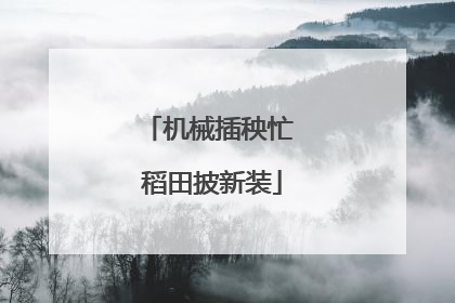 机械插秧忙 稻田披新装