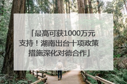 最高可获1000万元支持！湖南出台十项政策措施深化对德合作