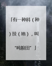 有一种科（种）技（地），叫“吨粮田”