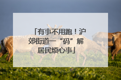 有事不用跑！沪郊街道一“码”解居民烦心事