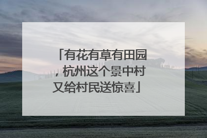 有花有草有田园，杭州这个景中村又给村民送惊喜