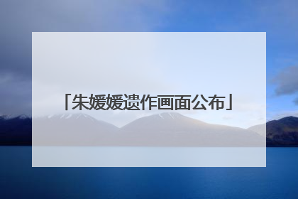 朱媛媛遗作画面公布