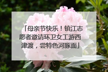 母亲节快乐！镇江志愿者邀请环卫女工游西津渡，尝特色河豚面