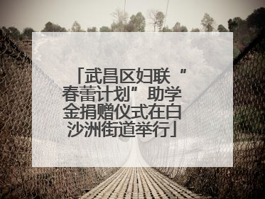武昌区妇联“春蕾计划”助学金捐赠仪式在白沙洲街道举行
