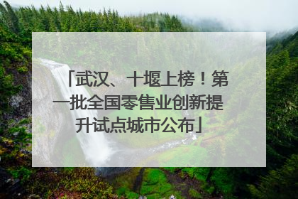 武汉、十堰上榜！第一批全国零售业创新提升试点城市公布