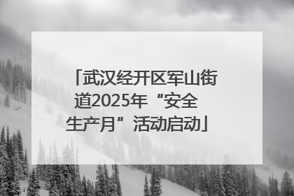 武汉经开区军山街道2025年“安全生产月”活动启动