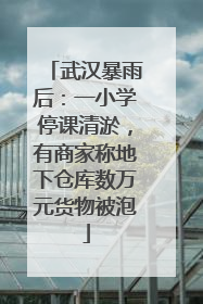 武汉暴雨后：一小学停课清淤，有商家称地下仓库数万元货物被泡