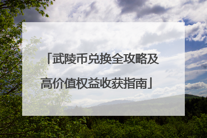 武陵币兑换全攻略及高价值权益收获指南
